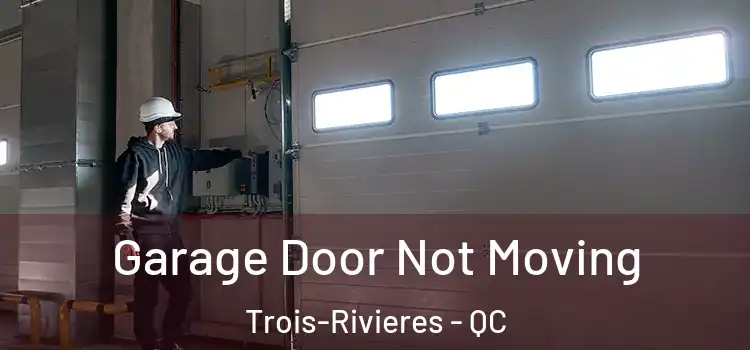  Garage Door Not Moving Trois-Rivieres - QC